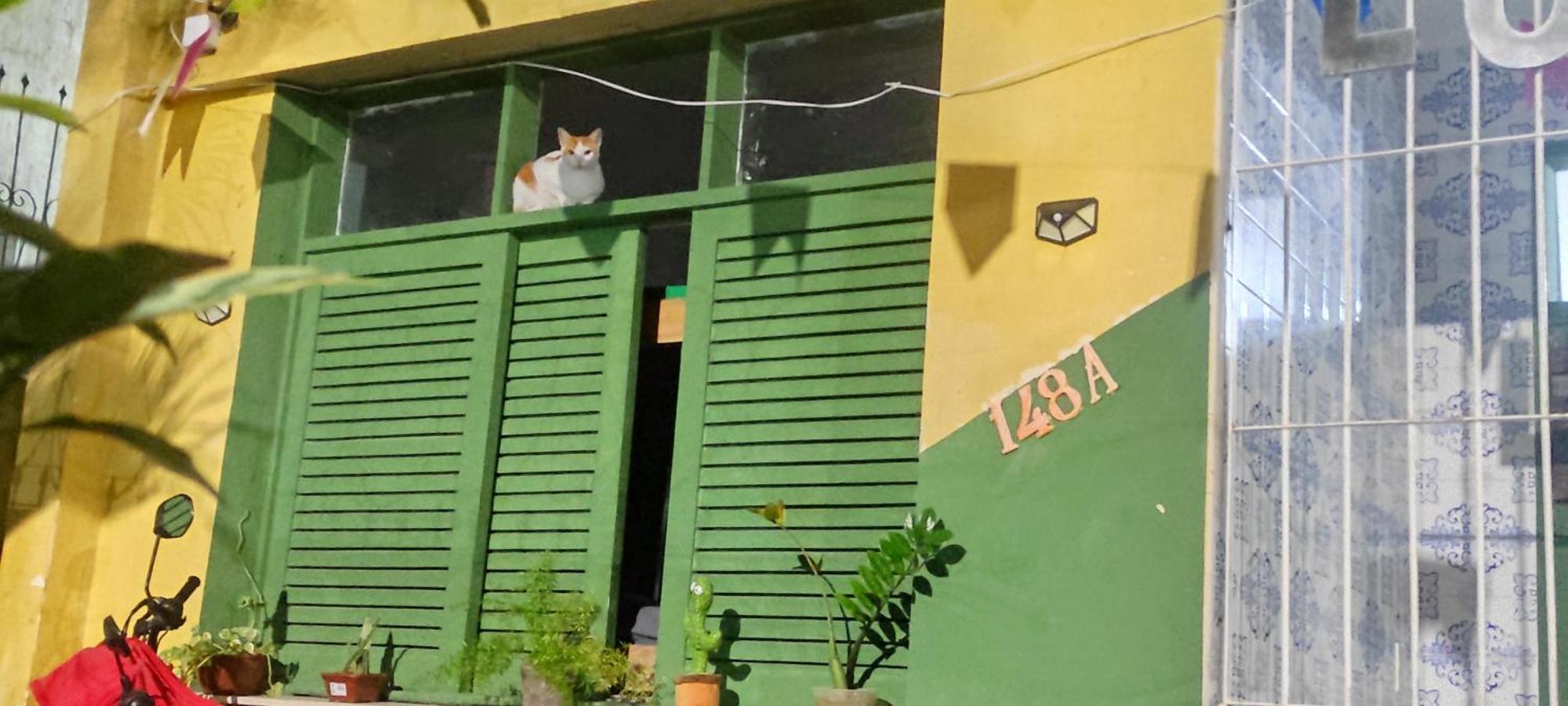 Hostel Lord